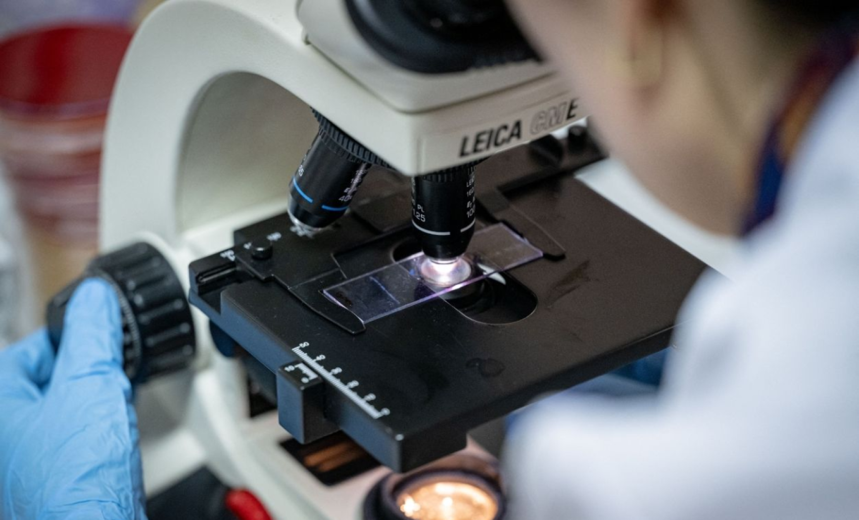 À Aix-Marseille, “Safe Place for Science” accueille les scientifiques exilés des Etats-Unis de Donald Trump